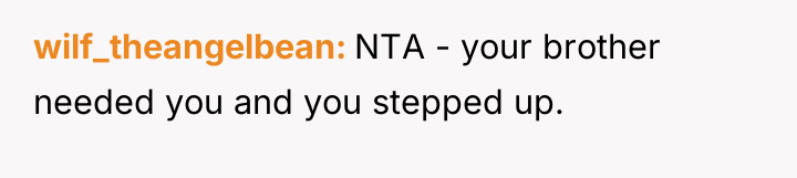 wilf_theangelbean NTA - your brother needed you and you stepped...