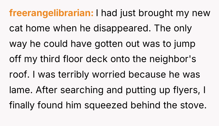 freerangelibrarian I had just brought my new cat home when...
