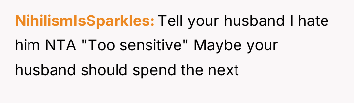 NihilismIsSparkles Tell your husband I hate him NTA "Too sensitive"...