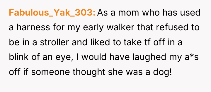 Fabulous_Yak_303 As a mom who has used a harness for...