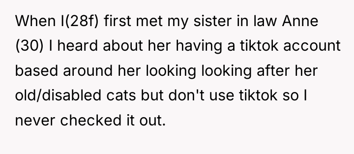 When I(28f) first met my sister in law Anne (30)...