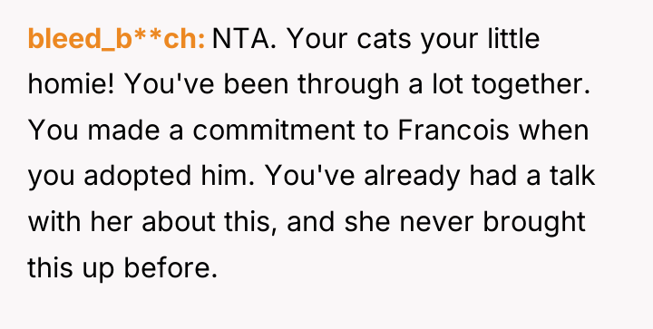 bleed_b**ch NTA. Your cats your little homie! You've been through...