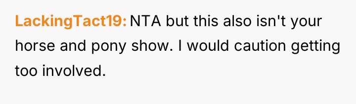 LackingTact19 NTA but this also isn't your horse and pony...