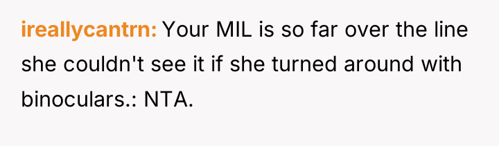 ireallycantrn Your MIL is so far over the line she...