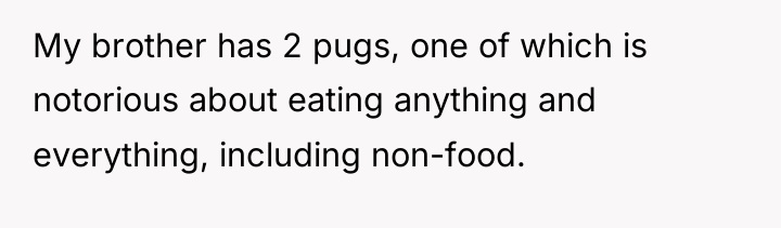 My brother has 2 pugs, one of which is notorious...