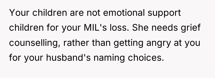 Your children are not emotional support children for your MIL's...