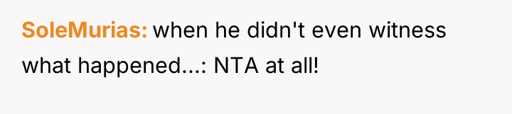 SoleMurias when he didn't even witness what happened...: NTA at...