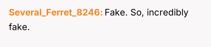 Several_Ferret_8246 Fake. So, incredibly fake.