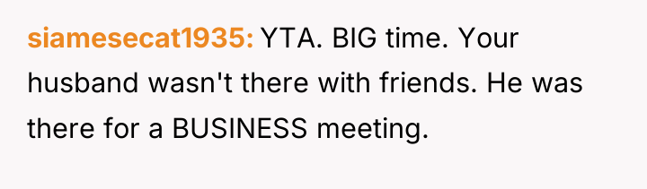 siamesecat1935 YTA. BIG time. Your husband wasn't there with friends....