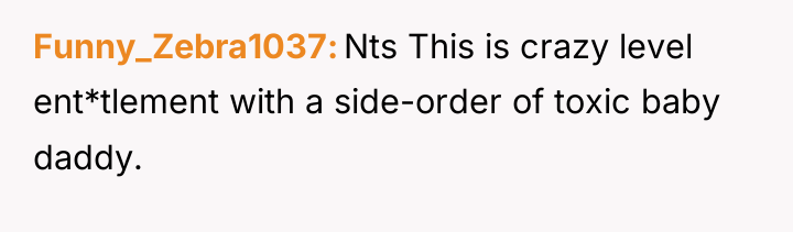 Funny_Zebra1037 Nts This is crazy level ent*tlement with a side-order...