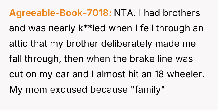 Agreeable-Book-7018 NTA. I had brothers and was nearly k**led when...