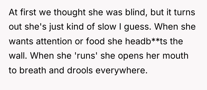 At first we thought she was blind, but it turns...