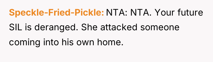 Speckle-Fried-Pickle NTA: NTA. Your future SIL is deranged. She attacked...