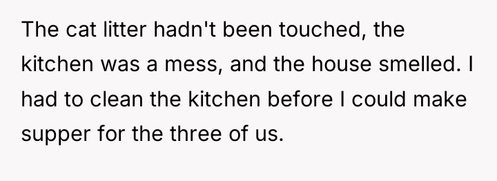 The cat litter hadn't been touched, the kitchen was a...
