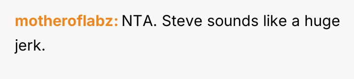 motheroflabz NTA. Steve sounds like a huge jerk.