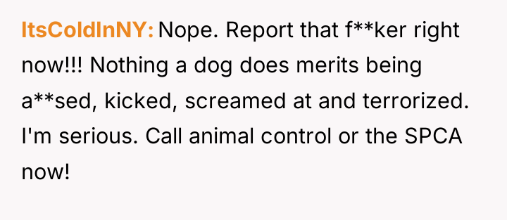 ItsColdInNY Nope. Report that f**ker right now!!! Nothing a dog...