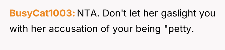 BusyCat1003 NTA. Don't let her gaslight you with her accusation...