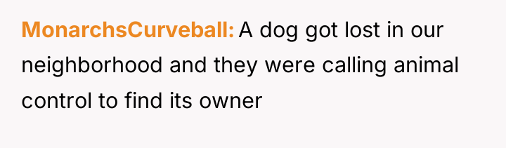 MonarchsCurveball A dog got lost in our neighborhood and they...