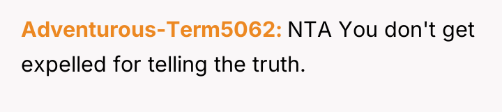 Adventurous-Term5062 NTA You don't get expelled for telling the truth.