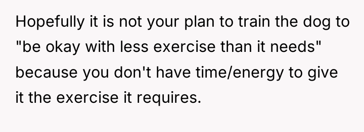 Hopefully it is not your plan to train the dog...