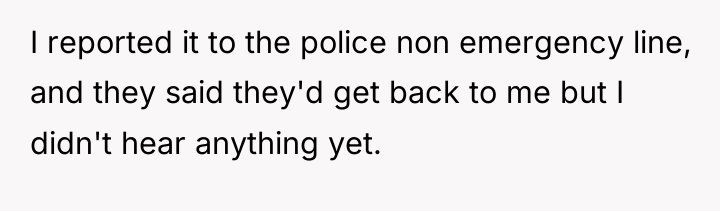 I reported it to the police non emergency line, and...