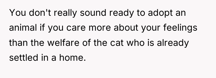 You don't really sound ready to adopt an animal if...