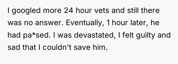 I googled more 24 hour vets and still there was...