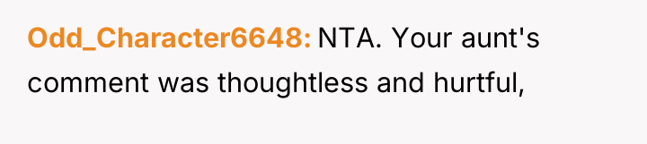 Odd_Character6648 NTA. Your aunt's comment was thoughtless and hurtful,
