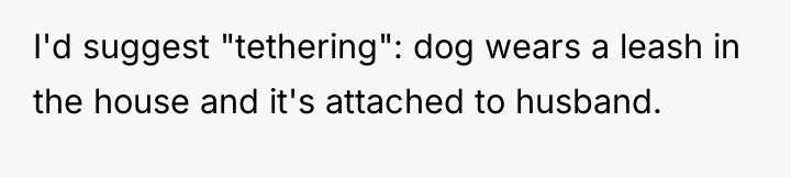 I'd suggest "tethering": dog wears a leash in the house...