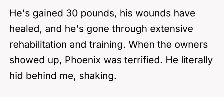 He's gained 30 pounds, his wounds have healed, and he's...