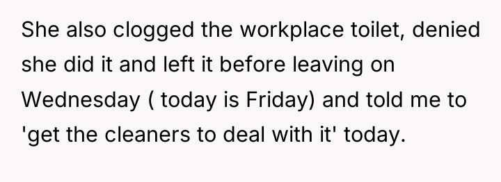 She also clogged the workplace toilet, denied she did it...
