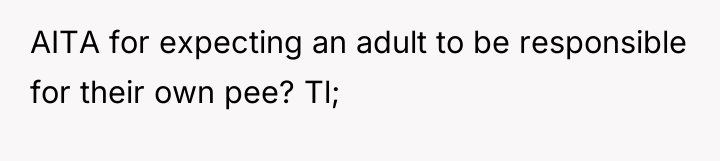 AITA for expecting an adult to be responsible for their...