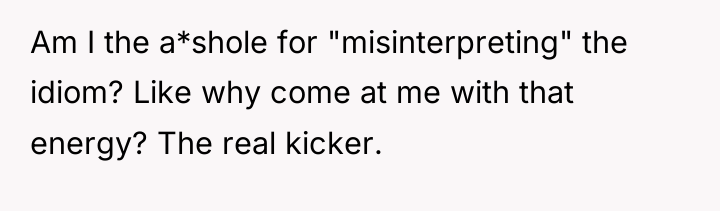 Am I the a*shole for "misinterpreting" the idiom? Like why...