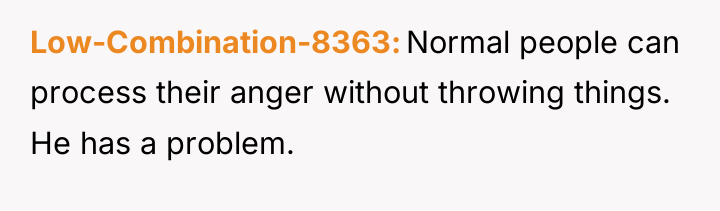 Low-Combination-8363 Normal people can process their anger without throwing things....