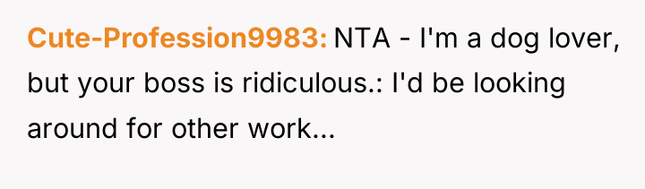 Cute-Profession9983 NTA - I'm a dog lover, but your boss...