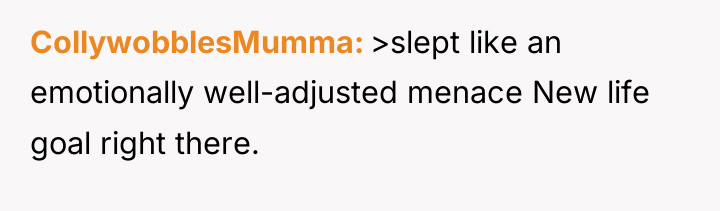 CollywobblesMumma >slept like an emotionally well-adjusted menace New life goal...