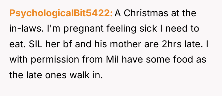 PsychologicalBit5422 A Christmas at the in-laws. I'm pregnant feeling sick...