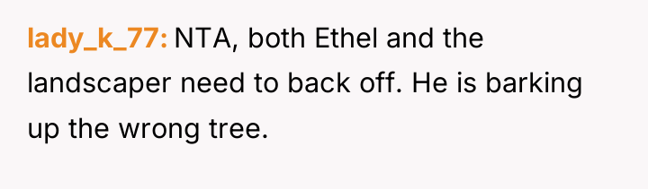 lady_k_77 NTA, both Ethel and the landscaper need to back...