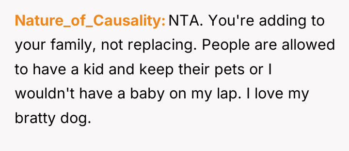 Nature_of_Causality NTA. You're adding to your family, not replacing. People...
