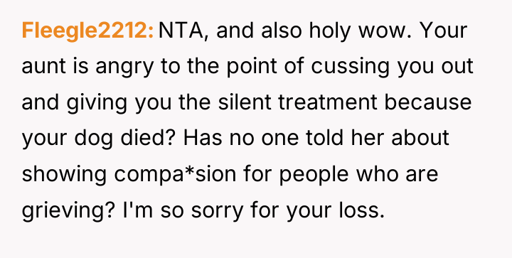 Fleegle2212 NTA, and also holy wow. Your aunt is angry...
