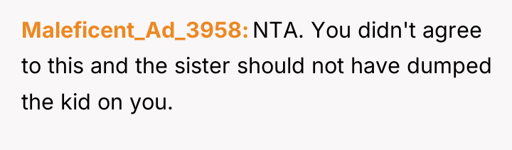 Maleficent_Ad_3958 NTA. You didn't agree to this and the sister...