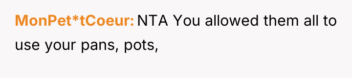 MonPet*tCoeur NTA You allowed them all to use your pans,...