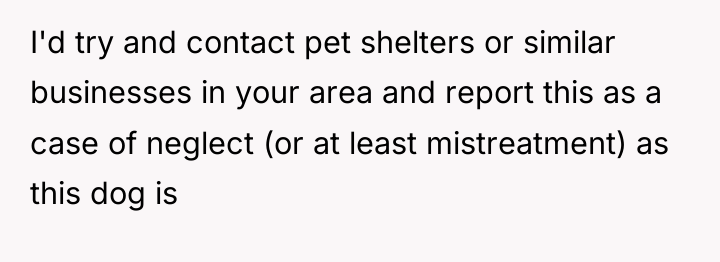 I'd try and contact pet shelters or similar businesses in...