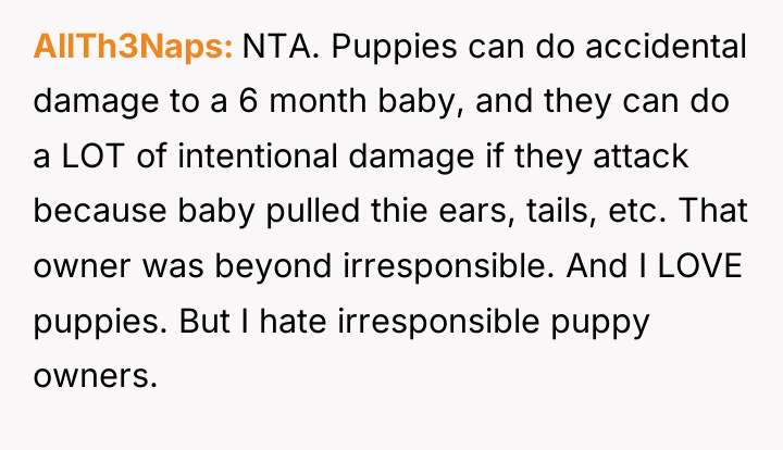 AllTh3Naps NTA. Puppies can do accidental damage to a 6...