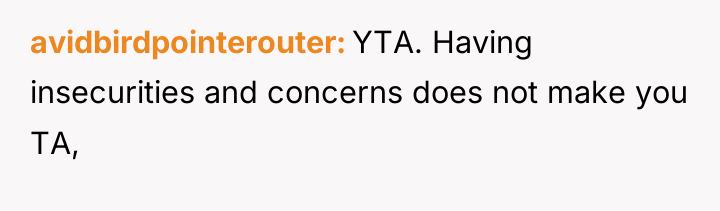 avidbirdpointerouter YTA. Having insecurities and concerns does not make you...