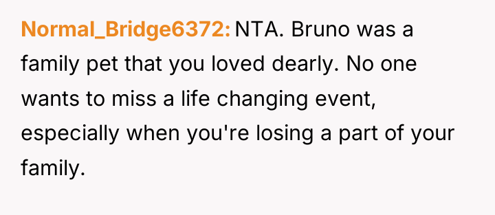 Normal_Bridge6372 NTA. Bruno was a family pet that you loved...
