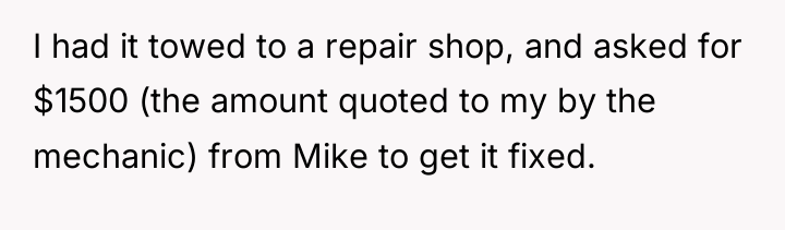 I had it towed to a repair shop, and asked...