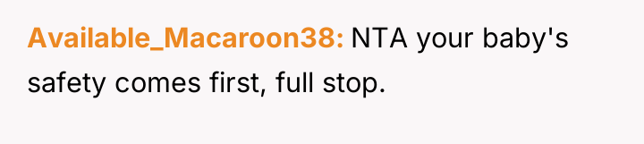 Available_Macaroon38 NTA your baby's safety comes first, full stop.