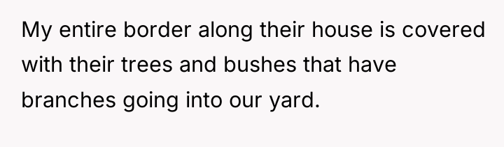 My entire border along their house is covered with their...