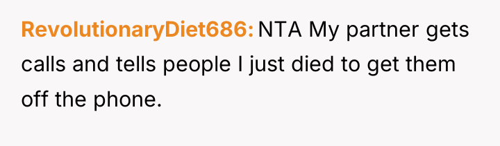 RevolutionaryDiet686 NTA My partner gets calls and tells people I...